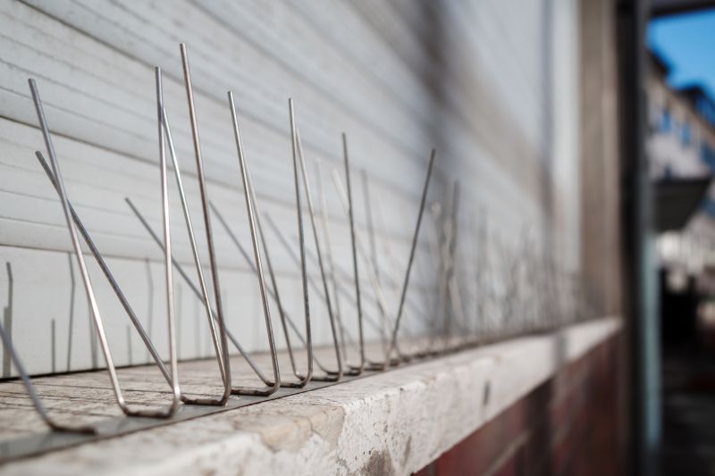 Bird Deterrent Installation