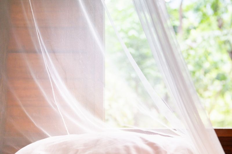 Spring Mosquito And Fly Control Solutions For Commercial Properties