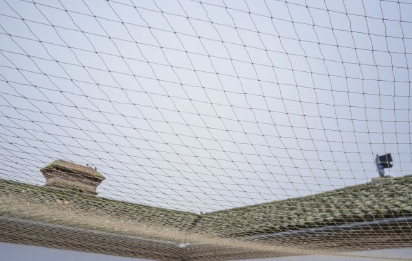 Bird Control Net Installation